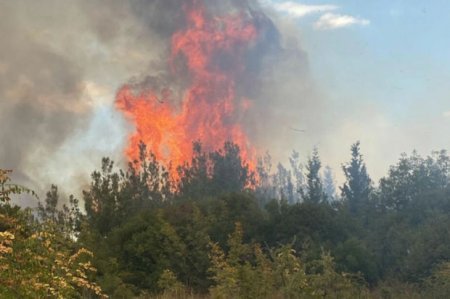 Çanaqqalada meşə yanğınları başlayıb