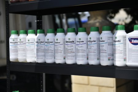 Şamaxıda növbəti toxum sərgi-satış yarmarkası keçirilib