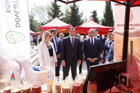 Şamaxıda növbəti toxum sərgi-satış yarmarkası keçirilib