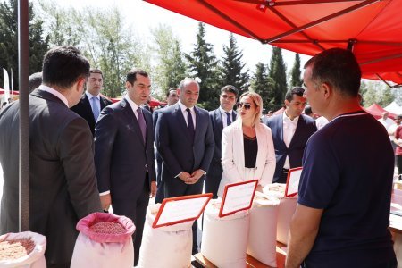 Şamaxıda növbəti toxum sərgi-satış yarmarkası keçirilib