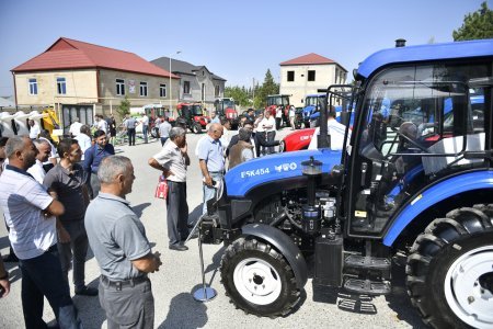 Şamaxıda növbəti toxum sərgi-satış yarmarkası keçirilib