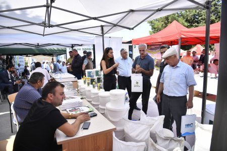 Şamaxıda növbəti toxum sərgi-satış yarmarkası keçirilib