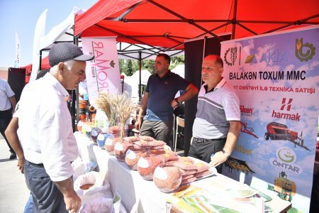 Şamaxıda növbəti toxum sərgi-satış yarmarkası keçirilib