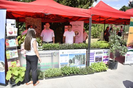 Şamaxıda növbəti toxum sərgi-satış yarmarkası keçirilib