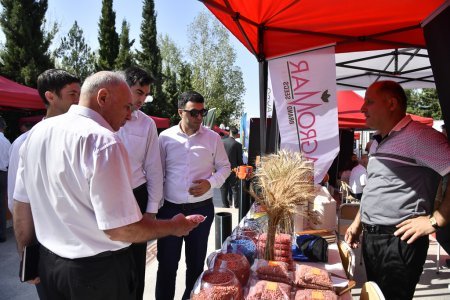 Şamaxıda növbəti toxum sərgi-satış yarmarkası keçirilib