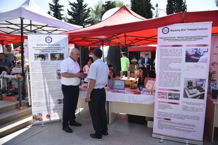 Şamaxıda növbəti toxum sərgi-satış yarmarkası keçirilib