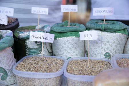 Ağstafada Aqrar İnnovasiya Festivalı çərçivəsində toxum sərgi-satış yarmarkası təşkil olunub