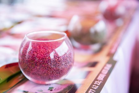 Ağstafada Aqrar İnnovasiya Festivalı çərçivəsində toxum sərgi-satış yarmarkası təşkil olunub