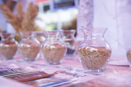 Ağstafada Aqrar İnnovasiya Festivalı çərçivəsində toxum sərgi-satış yarmarkası təşkil olunub