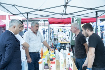 Ağstafada Aqrar İnnovasiya Festivalı çərçivəsində toxum sərgi-satış yarmarkası təşkil olunub
