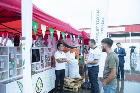 Ağstafada Aqrar İnnovasiya Festivalı çərçivəsində toxum sərgi-satış yarmarkası təşkil olunub