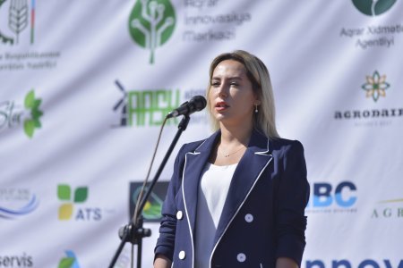 Qusarda Aqrar İnnovasiya Festivalı keçirilib