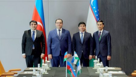 Azərbaycan və Özbəkistanın kənd təsərrüfatı nazirləri arasında görüş keçirilib