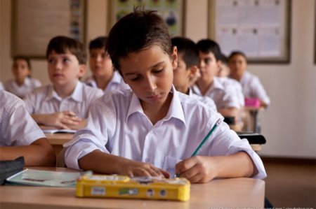 “Özəl liseylər reytinqə işləyirlər”: Dilimiz və tariximiz isə arxa planda qalıb