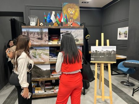 Budapeştdə Ermənistanın törətdiyi ekoloji terrora diqqət çəkildi 