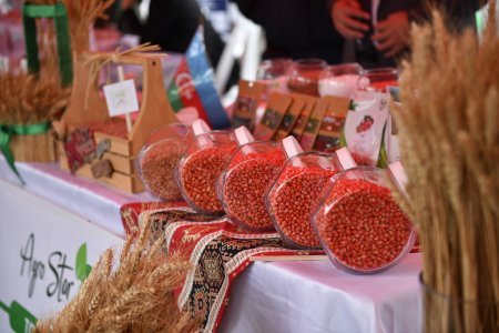 Hacıqabulda Aqrar İnnovasiya Festivalı keçirilib