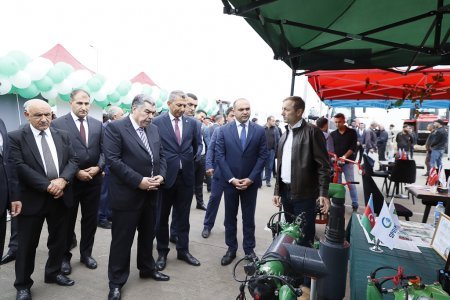 Hacıqabulda Aqrar İnnovasiya Festivalı keçirilib