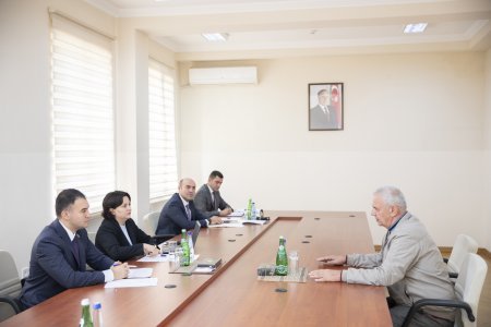 Kənd təsərrüfatı nazirinin müavini İlhamə Qədimova Sabirabadda vətəndaşları qəbul edib