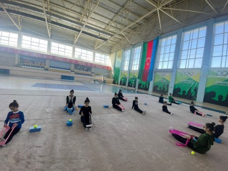 "Bədii gimnastika hamı üçün" devizi altında tədbir keçirildi