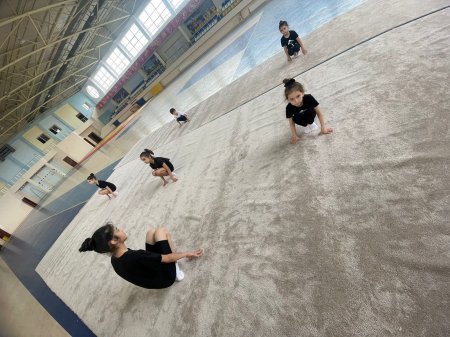 "Bədii gimnastika hamı üçün" devizi altında tədbir keçirildi