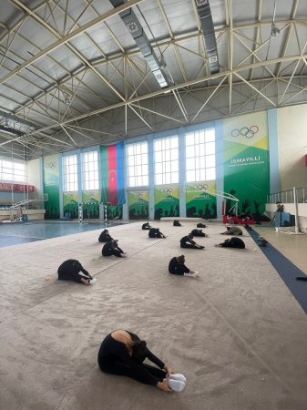 "Bədii gimnastika hamı üçün" devizi altında tədbir keçirildi