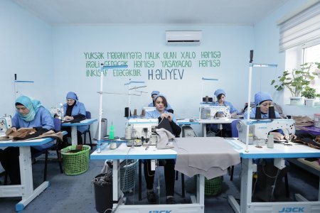 Şamaxıda özünüməşğulluq proqramı çərçivəsində qurulmuş təsərrüfatlara baxış olub