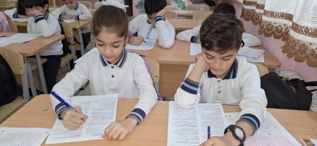 IV sinif şagirdləri üçün monitorinq təşkil olunub
