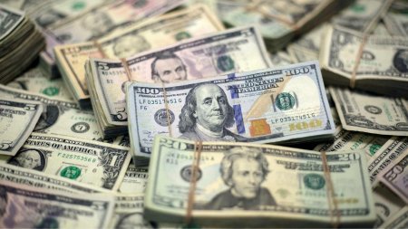 Dollara tələb artır: üzən məzənnəyə keçid olacaq? - Mərkəzi Bankın qərarı gözlənilir 