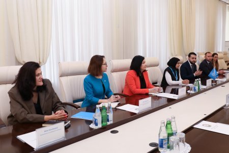 Azərbaycan Səhiyyə Nazirliyində UNICEF-in ölkəmizdəki nümayəndəsi ilə görüş keçirilib