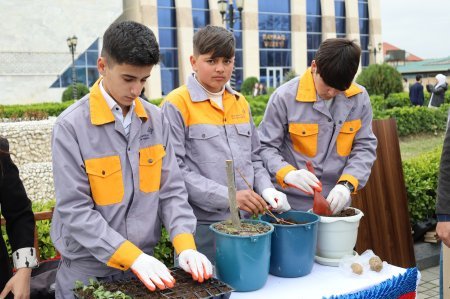 Göyçayda Novruz bayramı münasibətilə peşə təmayüllü siniflərin sərgisi təşkil olunub