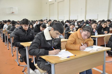 "Əlaçı” televiziya layihəsinin seçim turu keçirilib