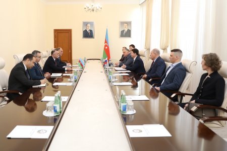 Azərbaycan Səhiyyə Nazirliyində Sankt-Peterburq Səhiyyə Komitəsinin sədr müavininin rəhbərlik etdiyi nümayəndə heyəti ilə görüş keçirilib