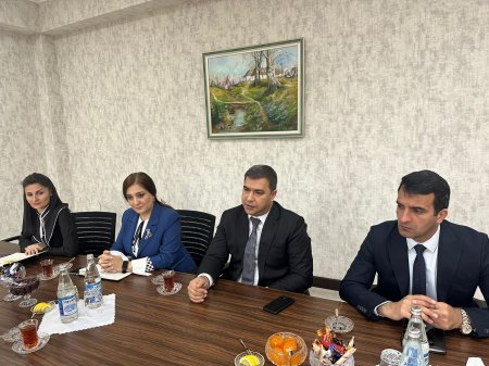 Özəl məktəbəqədər təhsil müəssisələrinin rəhbərləri ilə görüş