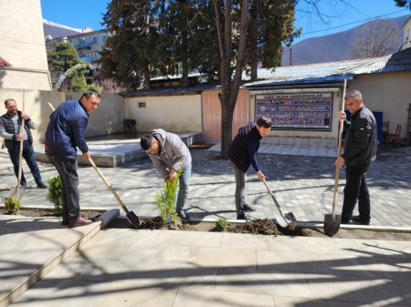 Şəki-Zaqatala Regional Mədəniyyət İdarəsinin təşəbbüsü ilə “Yaşıl dünya naminə mədəni davranış” layihəsi əsasında ağacəkmə aksiyası keçirilib