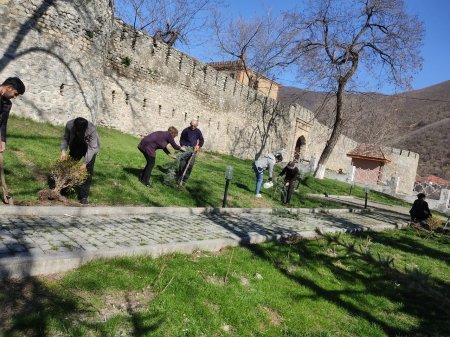 Şəki-Zaqatala Regional Mədəniyyət İdarəsinin təşəbbüsü ilə “Yaşıl dünya naminə mədəni davranış” layihəsi əsasında ağacəkmə aksiyası keçirilib