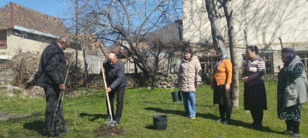 Şəki-Zaqatala Regional Mədəniyyət İdarəsinin təşəbbüsü ilə “Yaşıl dünya naminə mədəni davranış” layihəsi əsasında ağacəkmə aksiyası keçirilib