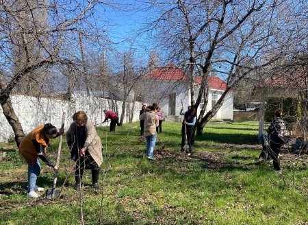 Şəki-Zaqatala Regional Mədəniyyət İdarəsinin təşəbbüsü ilə “Yaşıl dünya naminə mədəni davranış” layihəsi əsasında ağacəkmə aksiyası keçirilib