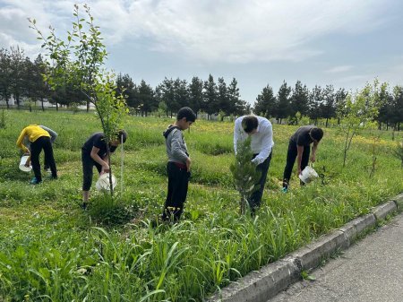 Ümummilli lider H.Əliyevin anadan olmasının 101- ci ildönümü ilə əlaqədar abadlaşdırma kampaniyası keçirilib