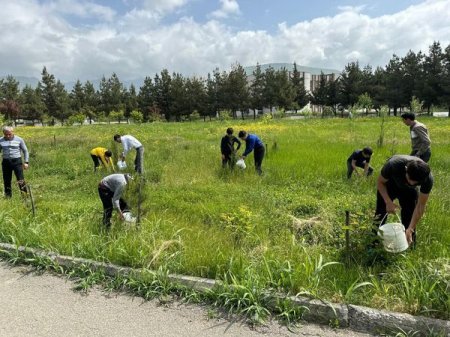 Ümummilli lider H.Əliyevin anadan olmasının 101- ci ildönümü ilə əlaqədar abadlaşdırma kampaniyası keçirilib