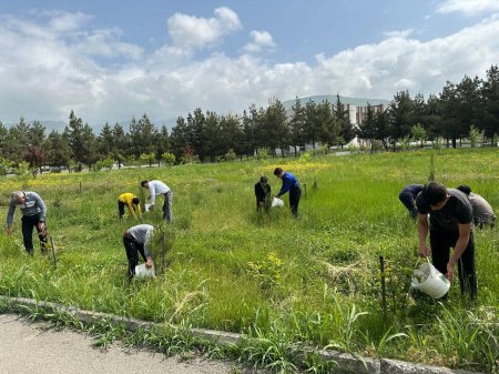 Ümummilli lider H.Əliyevin anadan olmasının 101- ci ildönümü ilə əlaqədar abadlaşdırma kampaniyası keçirilib