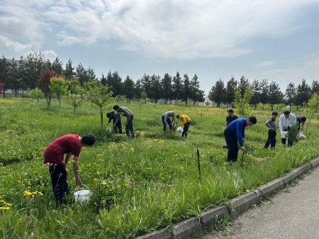 Ümummilli lider H.Əliyevin anadan olmasının 101- ci ildönümü ilə əlaqədar abadlaşdırma kampaniyası keçirilib