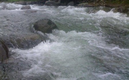 Qazaxda iki çay daşdı, bəzi əraziləri su basdı