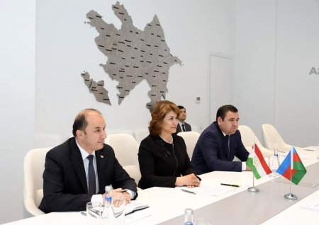 Mədəniyyət naziri tacikistanlı həmkarı ilə görüşüb 