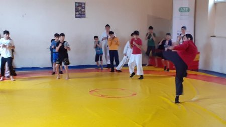  “Şərq döyüş növləri” üzrə ustad dərsi təşkil olunub