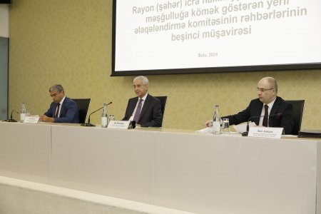 Məşğulluğa kömək göstərən əlaqələndirmə komitələrinin fəaliyyətinə dair növbəti respublika müşavirəsi keçirilib