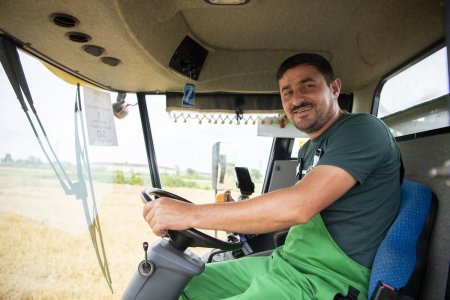 Taxıl zəmilərinin 73 faizində biçin başa çatıb