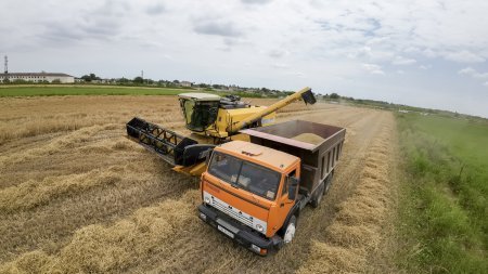 Taxıl zəmilərinin 73 faizində biçin başa çatıb