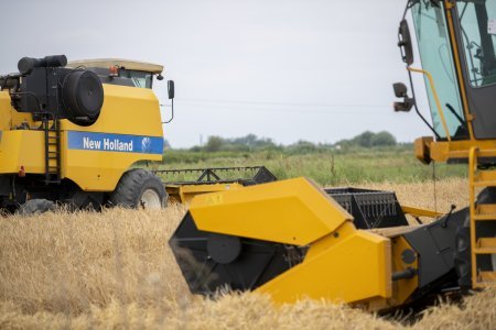 Taxıl zəmilərinin 73 faizində biçin başa çatıb