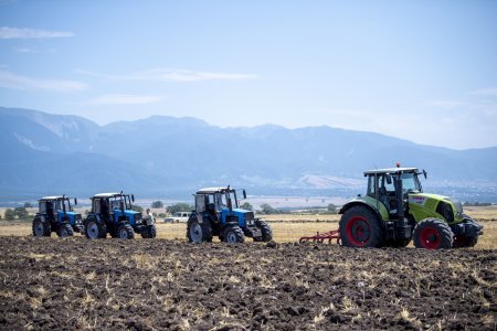 Taxıl sahələrinin 85 faizində biçin başa çatıb