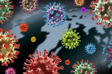 HƏYƏCAN TƏBİLİ ÇALINDI - Təhlükəli virus Avropanı CƏNGİNƏ ALIR 